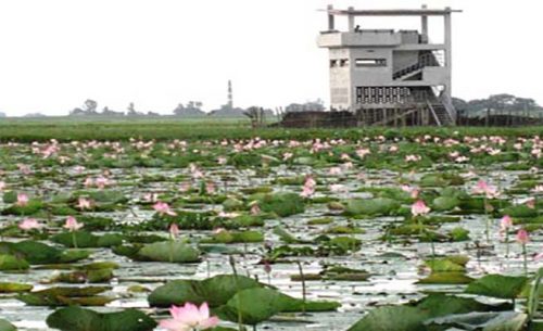 Hail Haor Popular Tourist Spots or Places in Moulvibazar