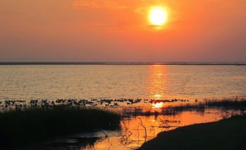 Hakaluki Haor Tourist Places in Sylhet