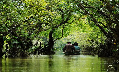 Ratargul swamp forest is one of the most beautiful tourist spot/place in Sylhet.