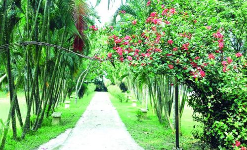 Sea Girl Resort Gazipur